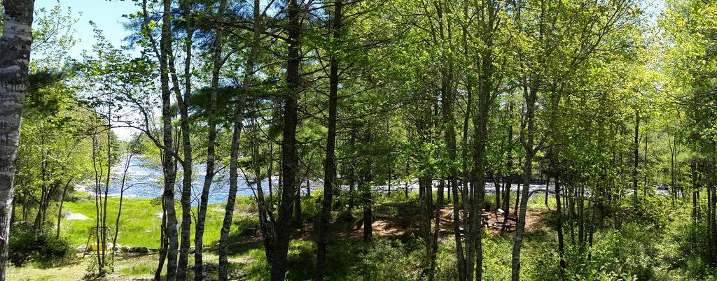 Roseway River Cottages Shelburne Exterior foto