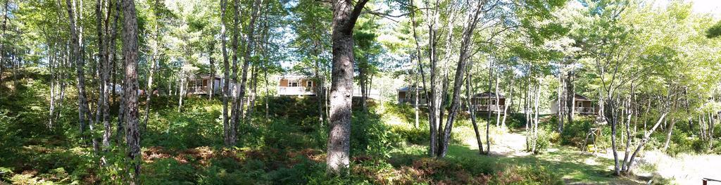Roseway River Cottages Shelburne Exterior foto