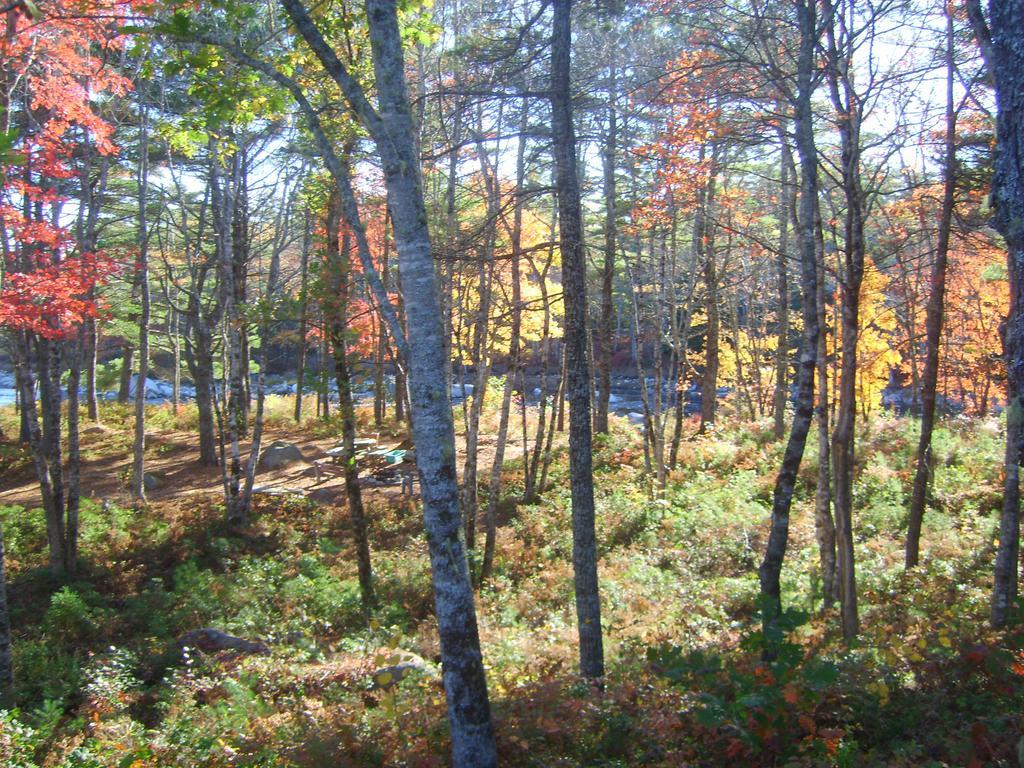 Roseway River Cottages Shelburne Exterior foto
