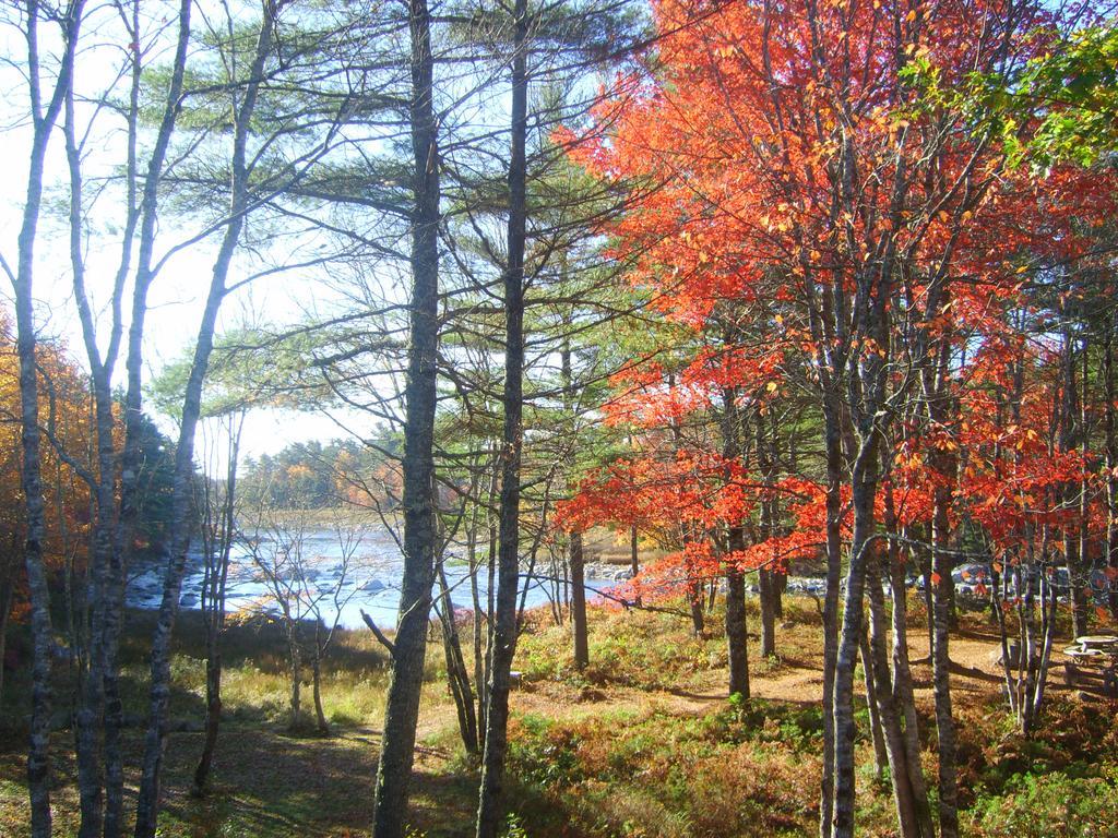Roseway River Cottages Shelburne Exterior foto