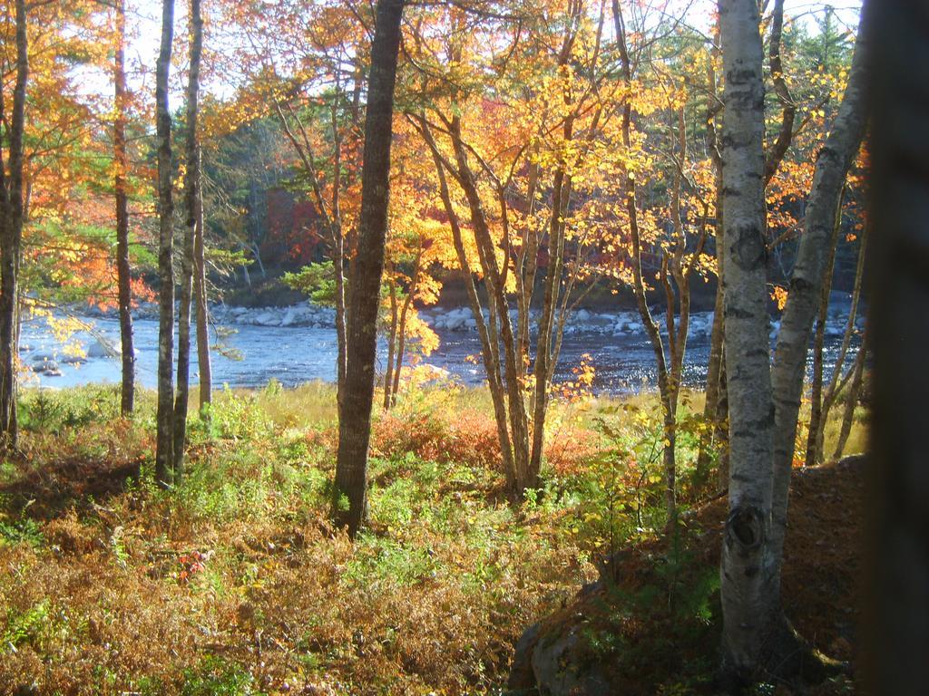 Roseway River Cottages Shelburne Exterior foto