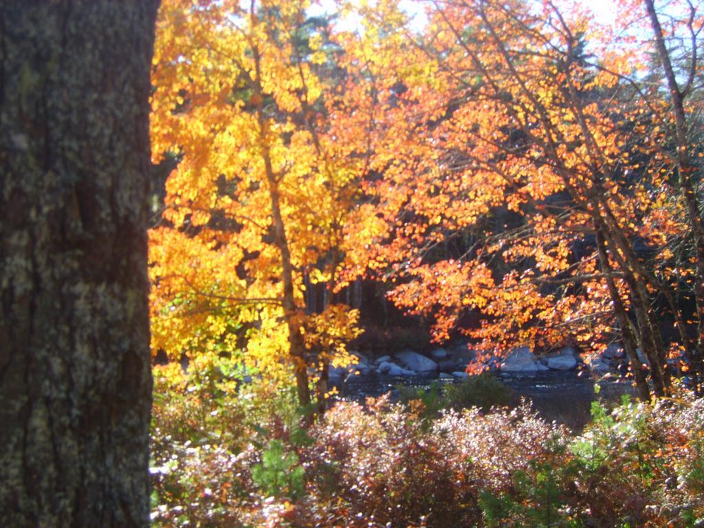 Roseway River Cottages Shelburne Exterior foto