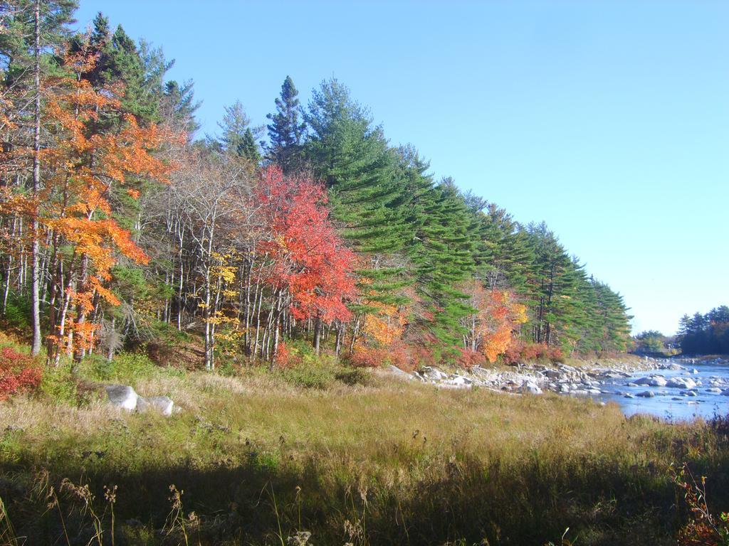 Roseway River Cottages Shelburne Exterior foto