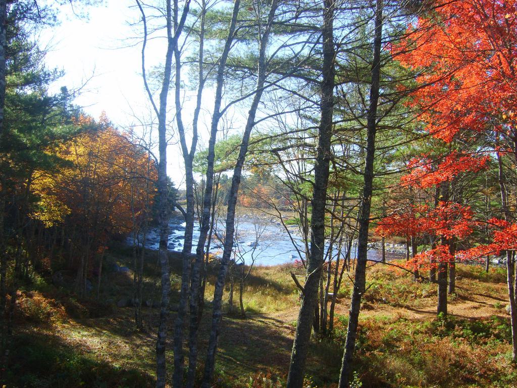 Roseway River Cottages Shelburne Exterior foto